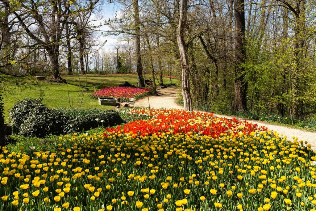 tulipani al castello di Pralormo