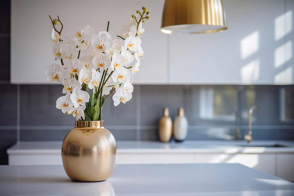 orchidea bianca in vaso color oro