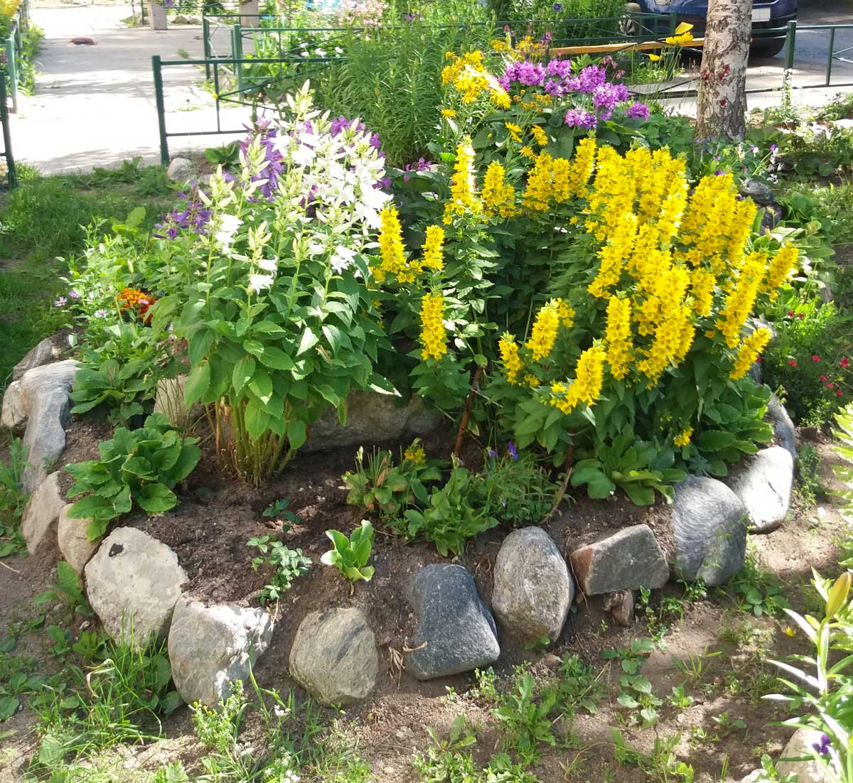 aiuola con bordura in pietra con fiori gialle, bianche e viola