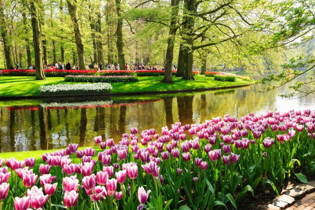 parco keukenhof in Olanda